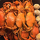 吃货季：上海海伦多海鲜自助餐