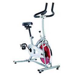 SUNNY HEALTH&FITNESS P8100/SF-B1203  家用室内健身动感单车
