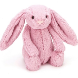 jELLYCAT 经典害羞系列 害羞邦尼兔公仔 小号18cm （浅棕/郁金香） 