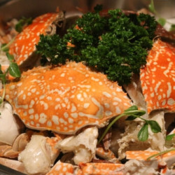 北京丽亭酒店丽坊餐厅单人自助午餐
