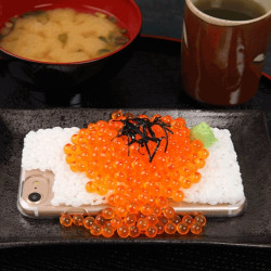 深夜报社特辑、节食减肥慎点