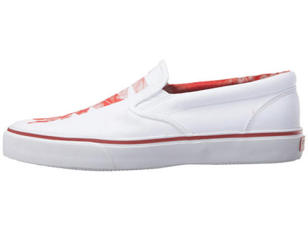 sperry jaws striper 大白鲨 男士帆布鞋