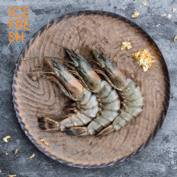 Icefresh 斯里兰卡进口野生黑虎虾250g 约5 8头 多少钱 什么值得买