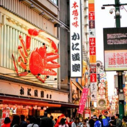 上海-名古屋+大阪 8日往返机票