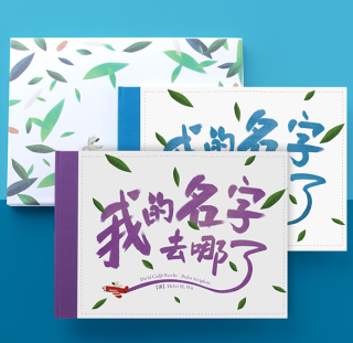  《Lost My Name 私人定制儿童绘本》