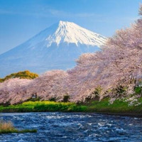 特价机票：春秋航空 全国多地-日本东京/名古屋5日往返