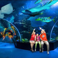 亲子套餐：天津自驾3日游（2晚希尔顿+2张海昌极地海洋世界门票）