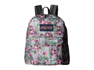 JanSport Spring Break 双肩包