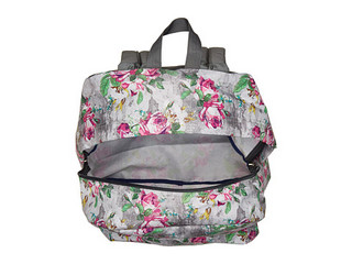 JanSport Spring Break 双肩包