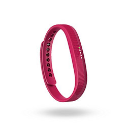 Fitbit Flex 2运动手环