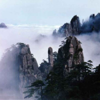 短途游：上海-周边多地2-3日跟团游