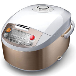 PHILIPS 飞利浦 HD3032/21 多功能电饭煲 3L  +凑单品