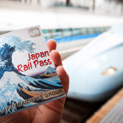日本新干线JR PASS 7日周游券