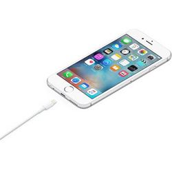 苹果电池适用于iPhone4/5/5c/6/6s plus 4s六5s原装手机内置电池6P 苹果数据线 白色H 1个