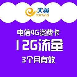 中国电信 4G流量卡 12G季卡（6G省内+6G本地闲时）