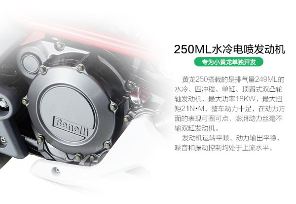 2016款 Benelli 贝纳利 小黄龙 TNT25 水冷电喷街跑摩托车 标准版
