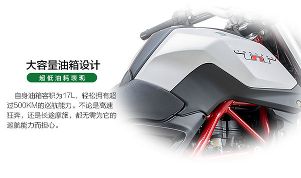 2016款 Benelli 贝纳利 小黄龙 TNT25 水冷电喷街跑摩托车 标准版