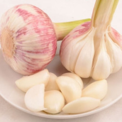 山东新鲜大蒜头 5斤