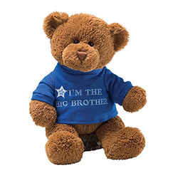 GUND I‘m Big Brother 泰迪熊 12英寸 *3件