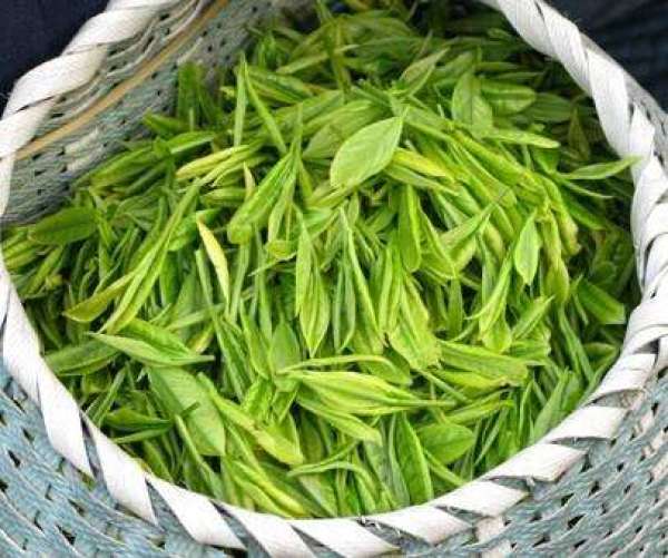 炎热夏日让这一股清流涌上你的心田