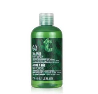 英国The Body Shop/美体小铺茶树沐浴露