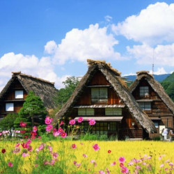 东航 北京-日本名古屋7天直飞往返（赠wifi）