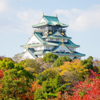 五星全日空：北京直飞日本大阪 5/6天往返含税机票