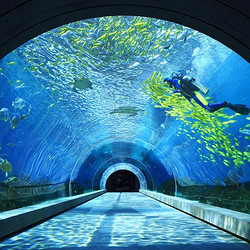 三亚海棠湾天房洲际海景房2晚+双人海底餐厅自助午餐+双人潜水