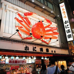 春秋航空 上海-名古屋+大阪 6-8天往返机票