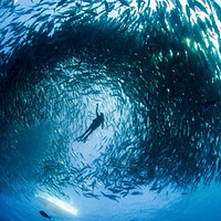 深海行：多海岛潜水体验