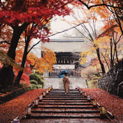 上海-日本多地7日自由行