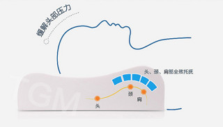 ecolifelatex PT3C-M 泰国进口天然乳胶枕  