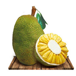 益优果 三亚新鲜菠萝蜜1个 约11-12kg +凑单品