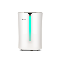 haier 海尔 DE20A 家用除湿机 245W（20L/天）
