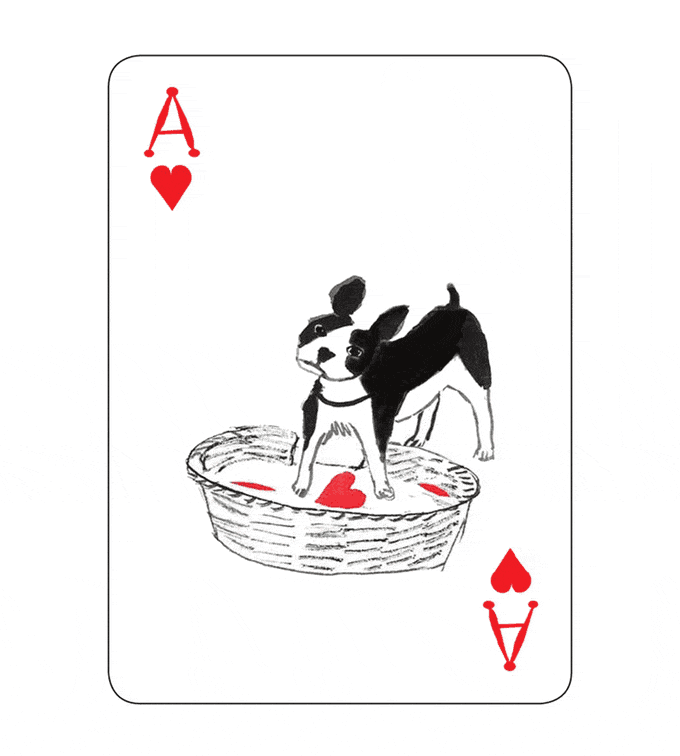 眼前一亮 | 爱狗人士福利,最可爱的狗狗扑克牌来啦