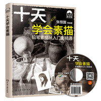 免费得：素描 视频教程