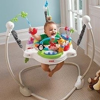 Fisher Price 费雪 婴儿蹦跳乐园