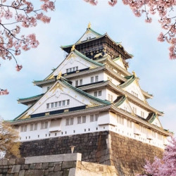 北京直飞日本大阪 5/6天往返含税机票