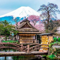 拼车游：日本东京-富士山 拼车一日游（河口湖+忍野八海+奥特莱斯）