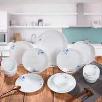 Corelle 康宁餐具 飞燕草系列 玻璃餐具套装17-BFL/ZK   17头 +凑单品