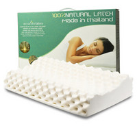 ECOLIFELATEX 伊可莱 PT3CM 护颈枕 *3件