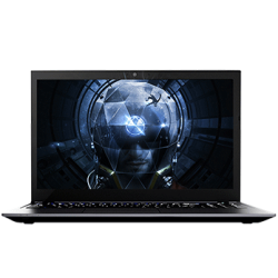 Shinelon 炫龙 毁灭者 DC-PRO 游戏本 （G4560、8GB、128GB+1TB、GTX 1050） 