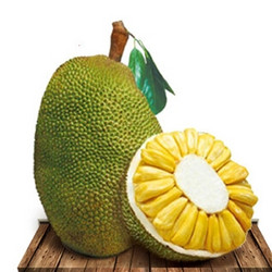  海南三亚新鲜菠萝蜜 30斤