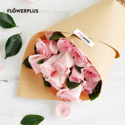 FLOWERPLUS 花+ 简花 单品鲜花 4束/月 *4件