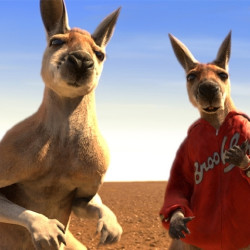 特价机票:成都\/重庆-奥克兰\/悉尼\/墨尔本4-30天