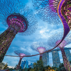 全国多地-新加坡特价机票 往返含税