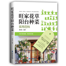 《旺家花草阳台种菜》
