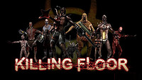  《KILLING FLOO（杀戮空间）》 PC数字版游戏