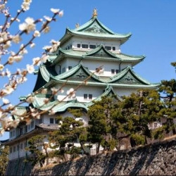 春秋航空 全国多地-日本名古屋6-7天往返特价机票