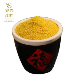 谷兴江畔 沁州黄小米 100g